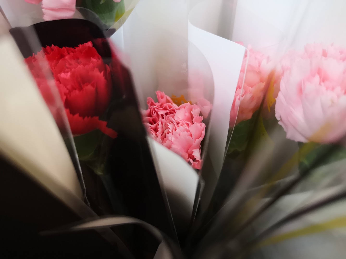 c8cb8352-1055-43f3-9708-3cb09ea18a1d c8cb8352-1055-43f3-9708-3cb09ea18a1d