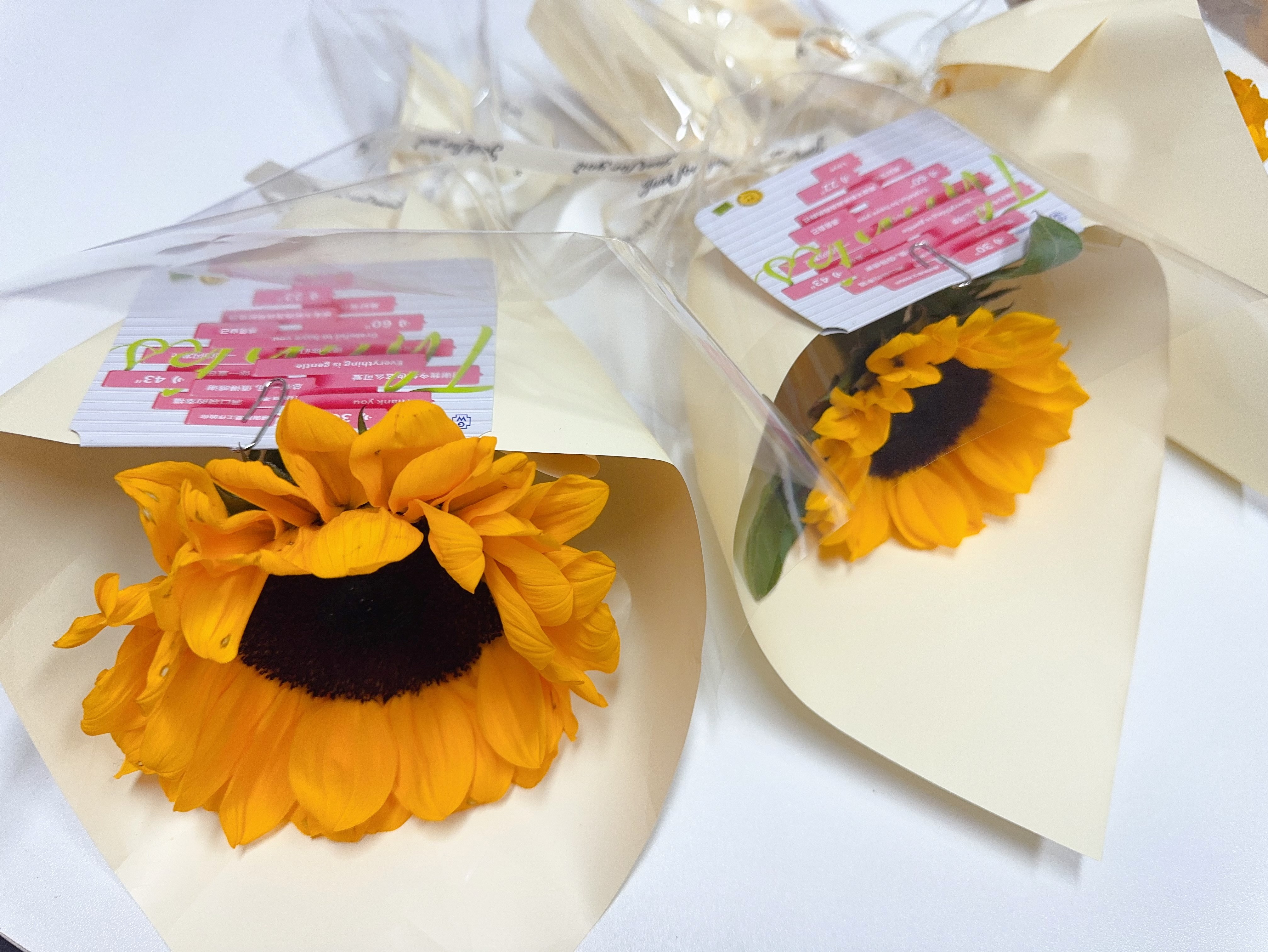 cf1d9192-1b02-4680-8f52-48abc8f35507 cf1d9192-1b02-4680-8f52-48abc8f35507