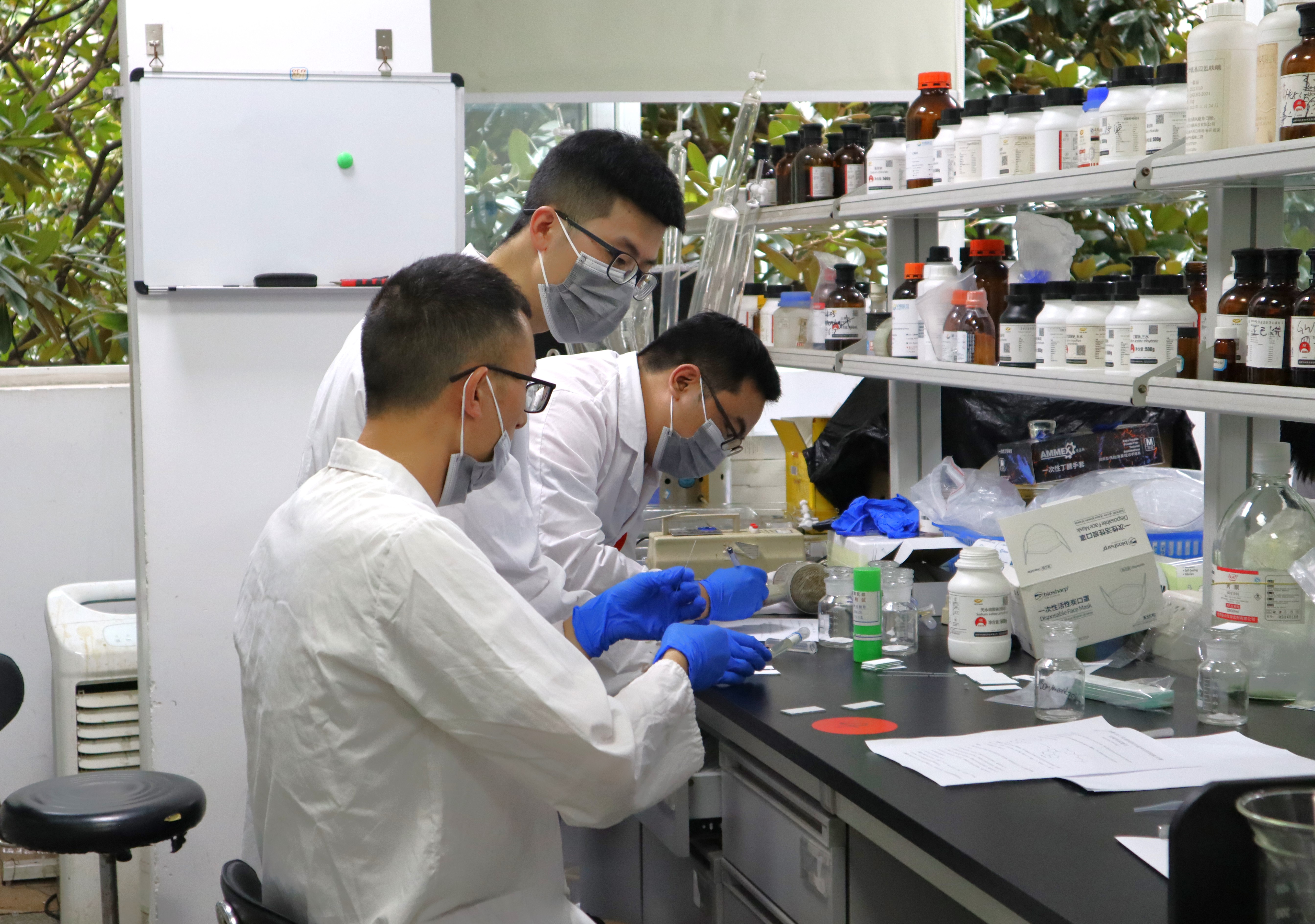 IMG_2171(1) IMG_2171(1)